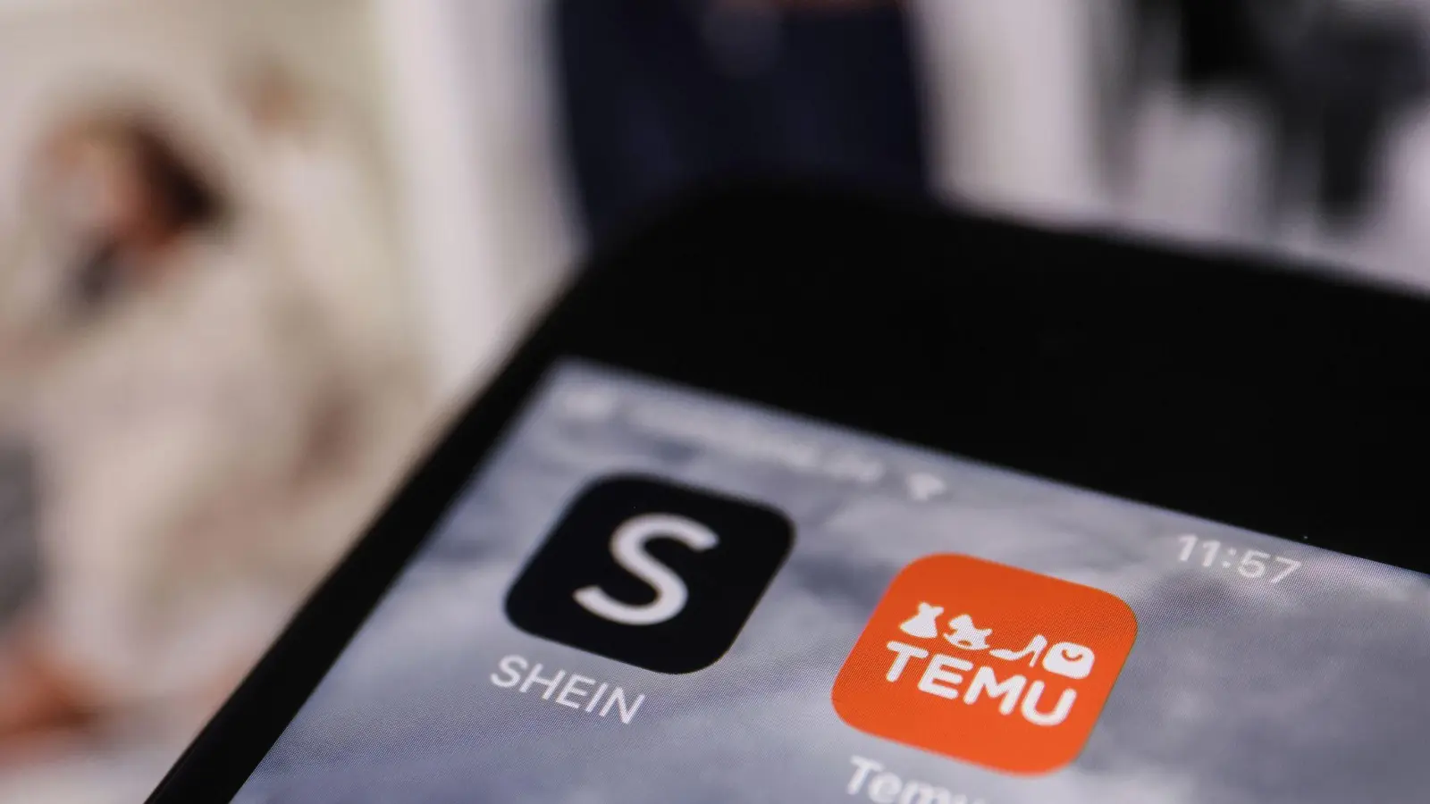 Shein und Temu sind zwei der bekanntesten asiatischen Shoppingplattformen. (Archivbild) (Foto: Oliver Berg/dpa)