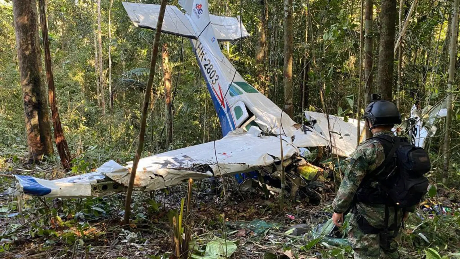 Das Wrack der abgestürzten Cessna C206 im Regenwald im kolumbianischen Bundesstaat Caqueta. (Foto: -/Colombia's Armed Forces Press Office/dpa)