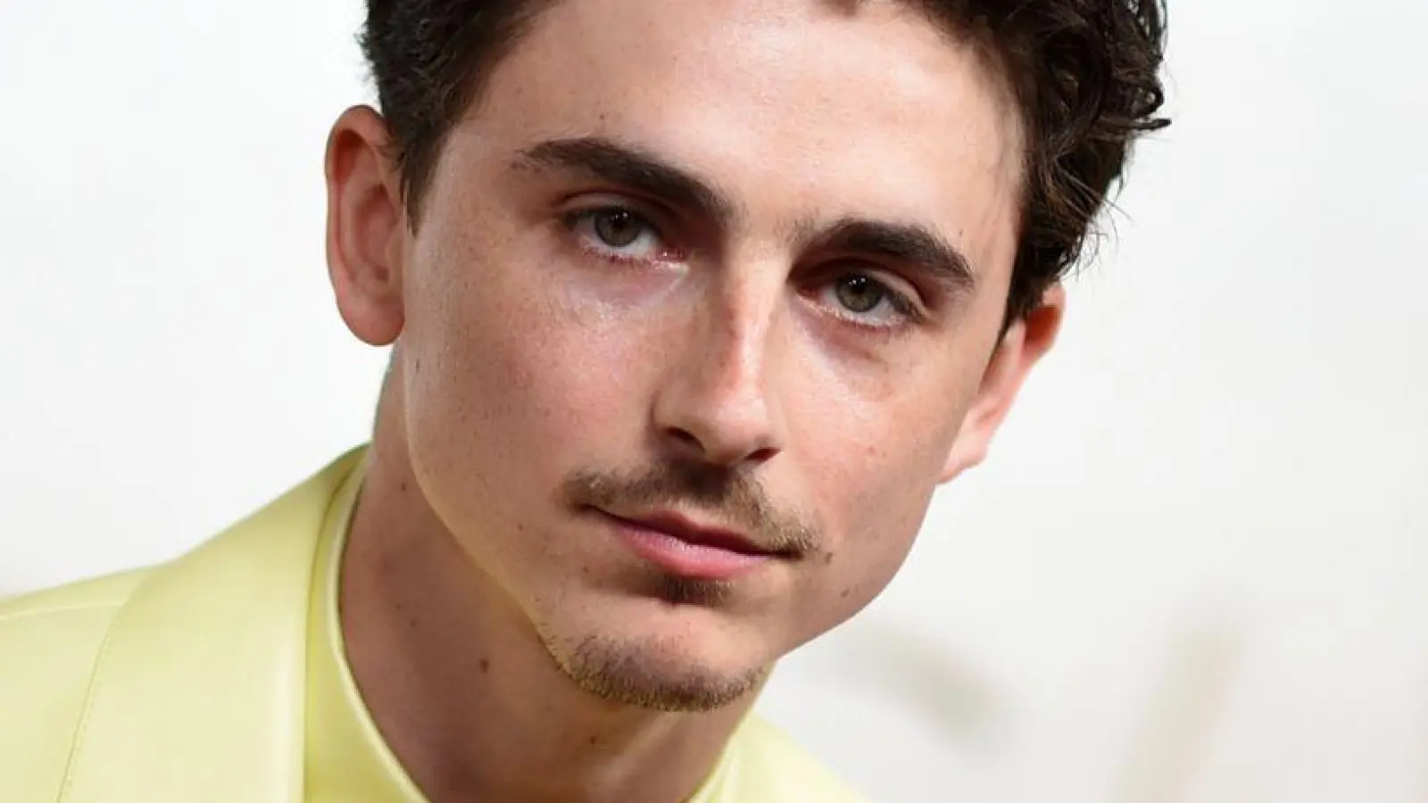 Timothée Chalamet hat ein wildes Promo-Video für seinen Film veröffentlicht. (Archivbild) (Foto: Richard Shotwell/Invision/dpa)