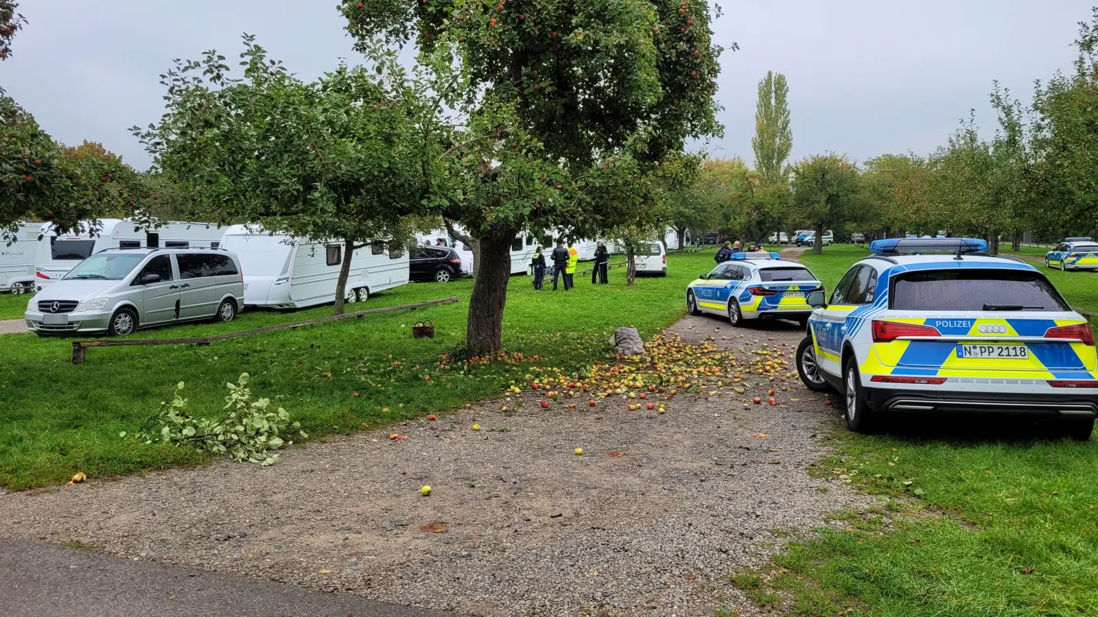 Mehrere Fahrzeuge der Polizei sind am Dienstagvormittag auf den Parkplatz des Freilandmuseums ausgerückt. Für die Bevölkerung bestand laut den Beamten keine Gefahr. (Foto: Nina Daebel)