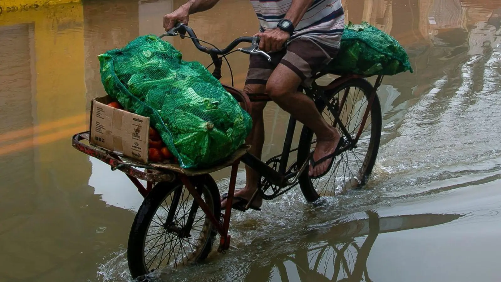 Mit Kraft voran: Durch überflutete Straßen kämpft sich ein Mann auf seinem Fahrrad. <br>Seit der Nacht zu Samstag verwüsteten schwere Unwetter und starke Regenfälle den Südosten Brasiliens, mindestens 23 Personen kamen ums Leben. (Foto: Bruna Prado/AP/dpa)