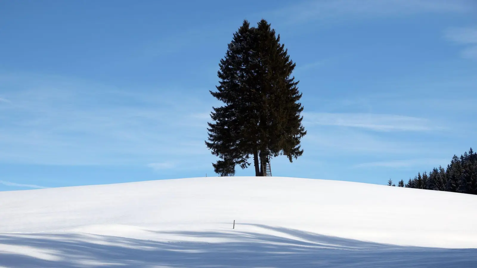 Nur in den höheren Lagen zeigt sich die Sonne.  (Foto: Karl-Josef Hildenbrand/dpa)