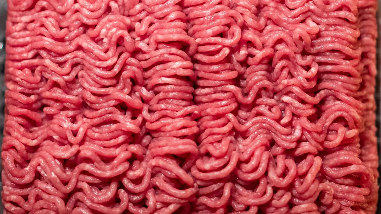BHackfleisch vom Rind aus dem Supermarkt liegt in einer Schale. Kontrolleure fanden hier oft krankmachende Keime. (Foto: Daniel Karmann/dpa)