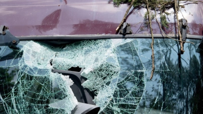Kawumms: In einem Streitfall ging es um einen Ast, der nachts auf ein Auto fiel. Den Schaden wollte die Besitzerin von der Stadt ersetzt bekommen. (Foto: Sebastian Gollnow/dpa/dpa-tmn)
