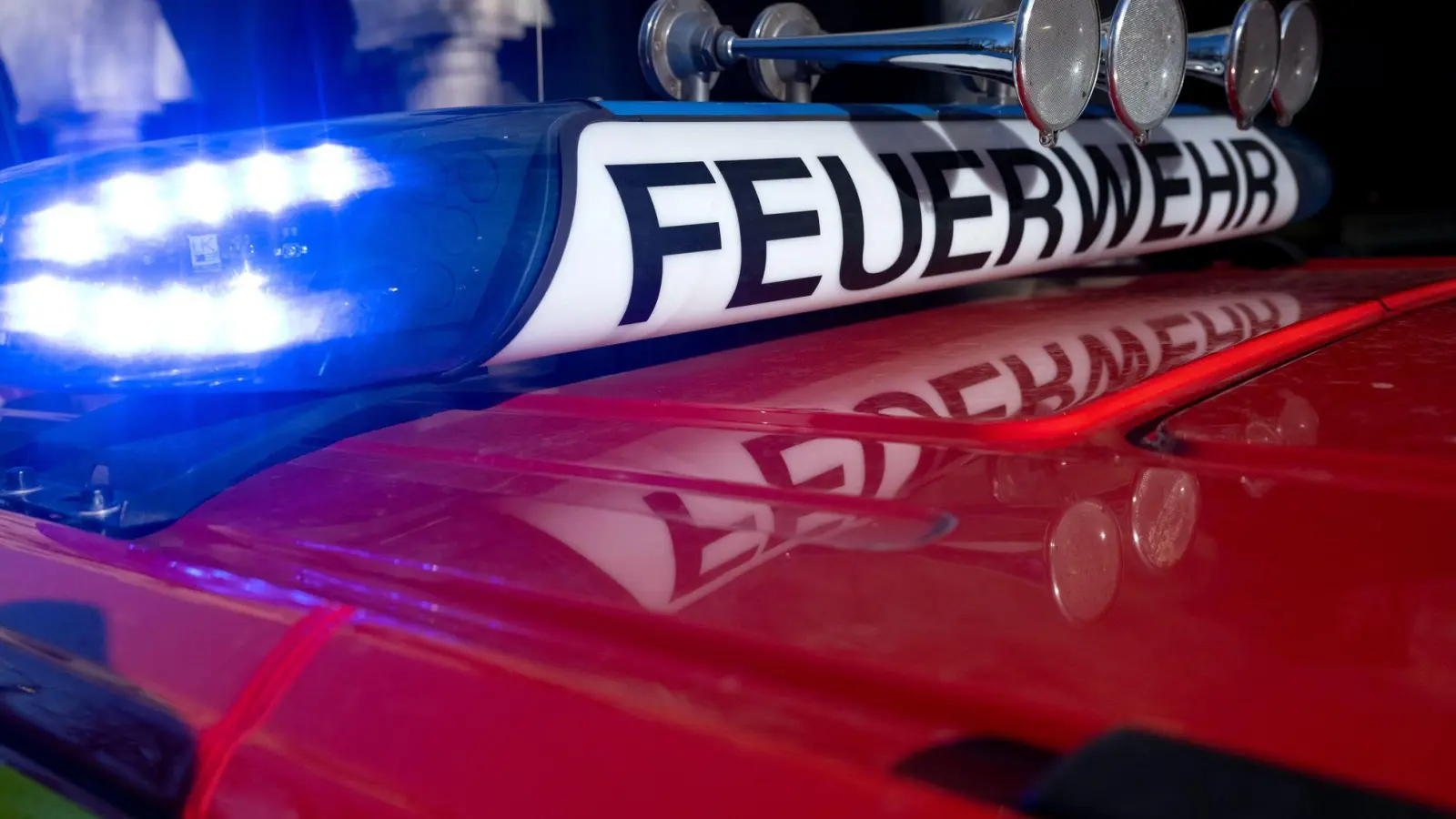 Bei einem Brand auf einem Bauernhof in Niederbayern konnten fast alle der 800 Schafe in dem brennenden Stall gerettet werden. (Symbolbild) (Foto: Sven Hoppe/dpa)