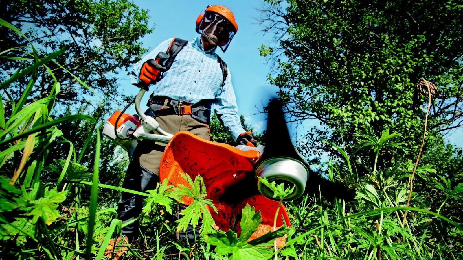 Auch im August gibt es für Gartenfreunde allerlei zu erledigen.  (Foto: Pixabay)