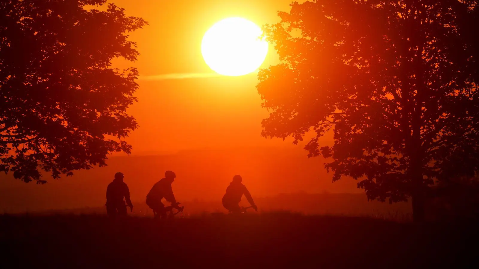 Bis zu 16 Sonnenstunden pro Tag sind am Wochenende möglich. (Archivbild) (Foto: Thomas Warnack/dpa)