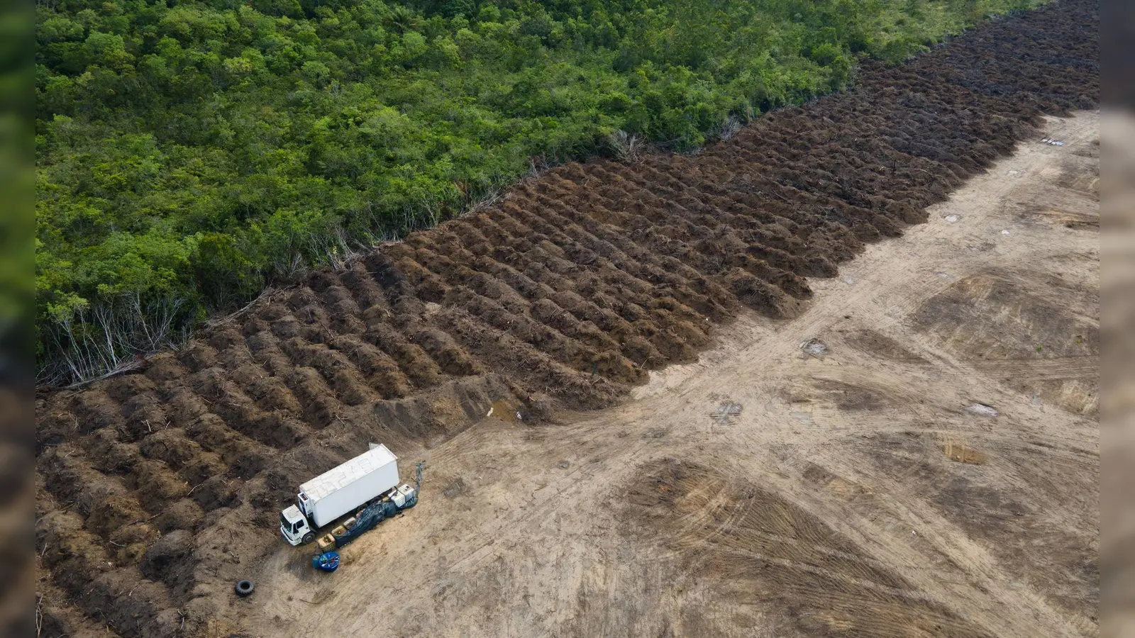 Im brasilianischen Amazonasgebiet sind seit 1985 rund 52 Millionen Hektar Natur verloren gegangen – eine Fläche größer als Spanien. (Archivbild) (Foto: Fernando Souza/ZUMA Press Wire/dpa)