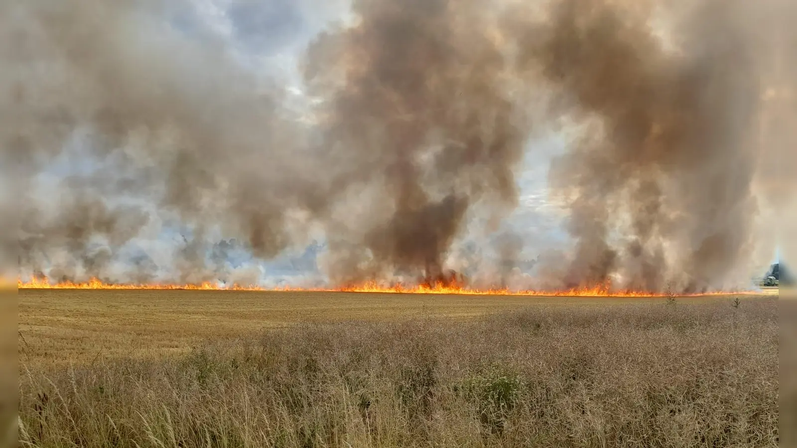 Vier Hektar Ackerfläche gerieten in Dietenhofen in Brand.  (Foto: Heinz Henninger)