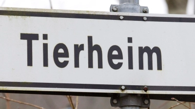Der 43-Jährige gab an, das Tier in einem Ort in der Region gefunden zu haben. (Symbolbild) (Foto: Friso Gentsch/dpa)