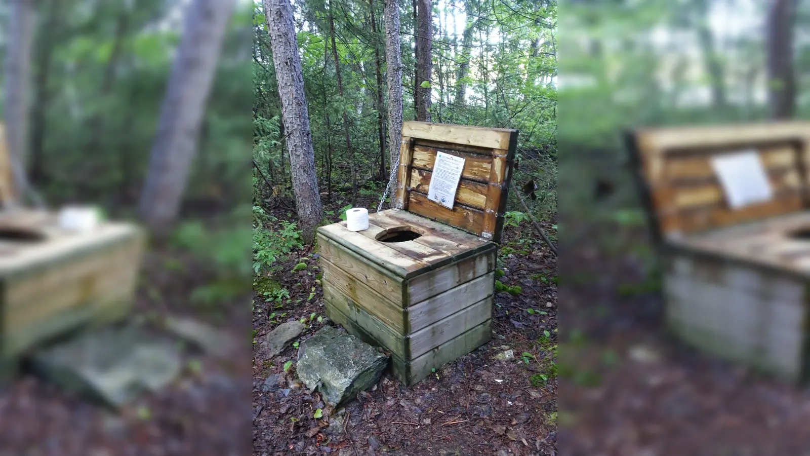 So sieht sie aus, die „Donnerbox“ im Wald. Immerhin gibt es Klopapier. (Foto: Andreas Drouve/dpa-tmn)
