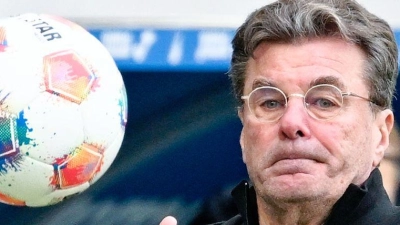 Dieter Hecking war mit dem Punktgewinn zufrieden. (Foto: Uwe Anspach/dpa)