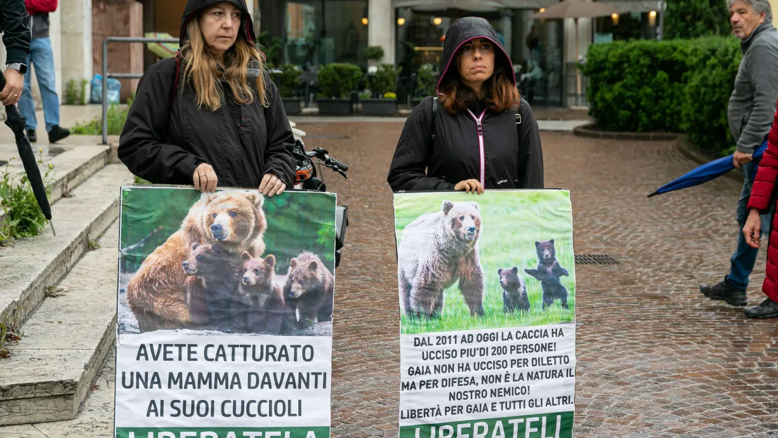 Umweltschützerinnen demonstrieren für die Befreiung der Bärin JJ4. (Foto: Enrico Pretto/LaPresse via ZUMA Press/dpa)
