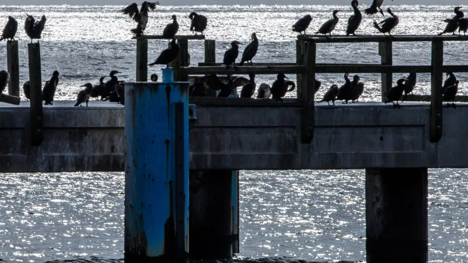 Nach der Hitze kühlt es etwas ab. (Foto: Jens Büttner/dpa)