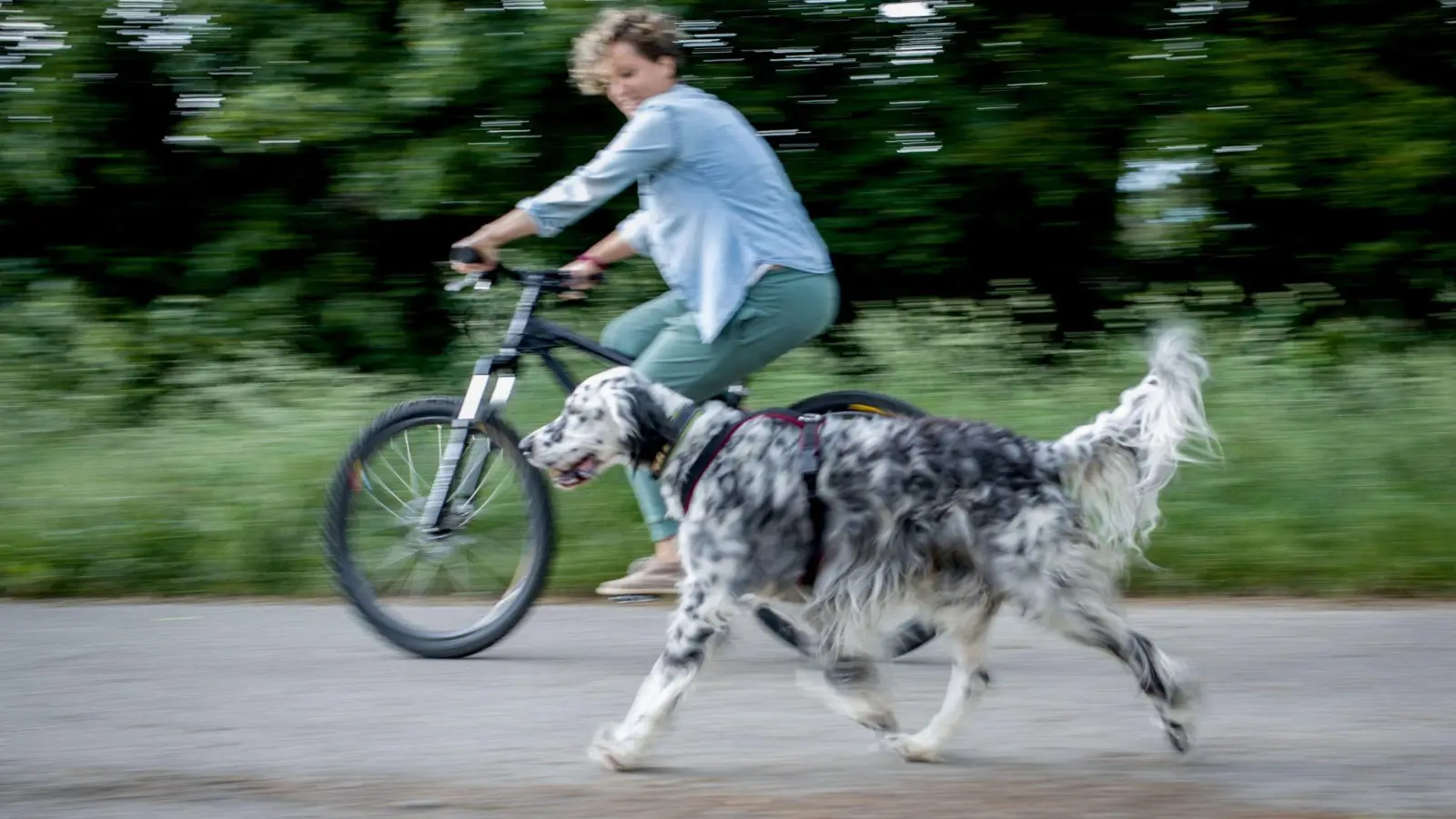 Das gemeinsame Fahren mit Rad und Hund sollte zunächst in einer verkehrsberuhigten Zone oder auf einem Parkplatz geübt werden. (Foto: Frank Rumpenhorst/dpa-tmn)
