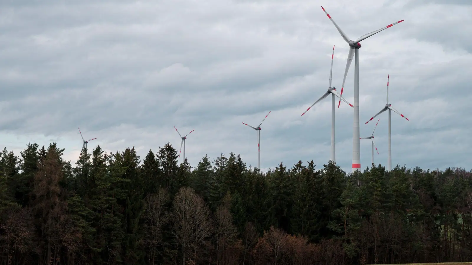 Windräder im staatseigenen Lindenhardter Forst in Oberfranken. (Archiv) (Foto: Daniel Vogl/dpa)