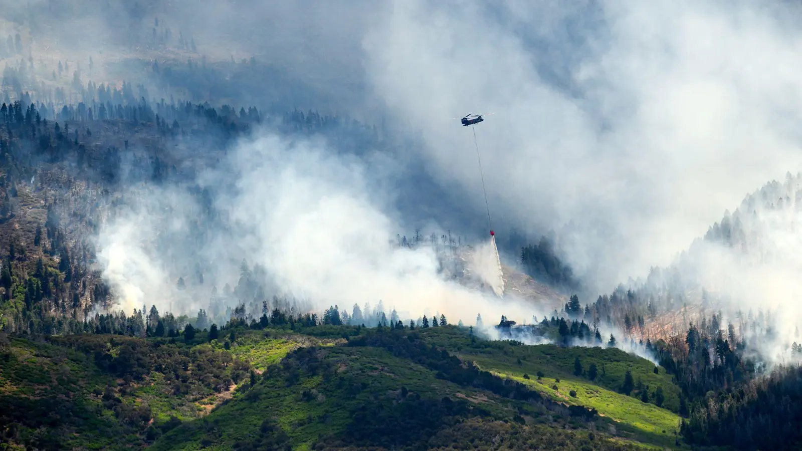 Im Westen der USA kämpfen Feuerwehrleute gegen zahlreiche Brände an.  (Foto: Noah Berger/FR34727 AP/AP/dpa)