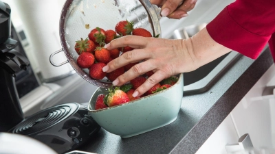 Bleibt der Strunk beim Waschen der Erdbeeren dran, wird der Geschmack nicht verwässert. (Foto: Christin Klose/dpa-tmn)