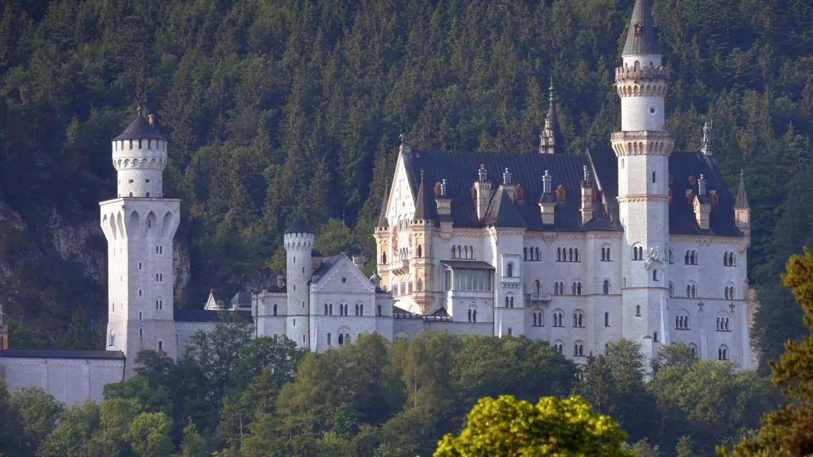 Das Schloss Neuschwanstein im Morgenlicht. (Foto: Karl-Josef Hildenbrand/dpa)