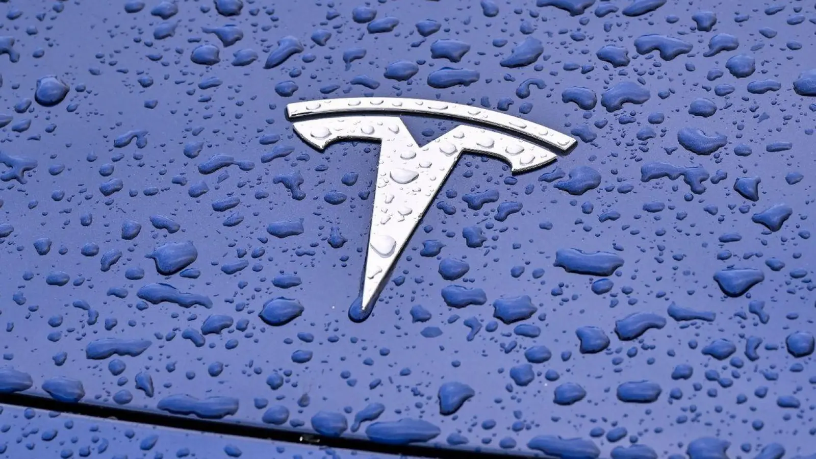 Steht Tesla im Regen? Die vergangenen Wochen waren turbulent für den Elektroauto-Vorreiter. (Foto: Patrick Pleul/dpa)
