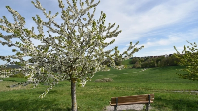 Obstbäume prägen an vielen Stellen, wie hier bei Grüb in der Gemeinde Weihenzell, die fränkische Landschaft. (Foto: Manfred Blendinger)
