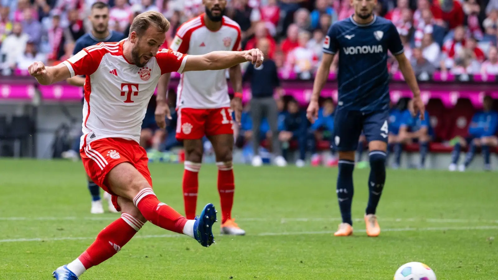 Bayerns Harry Kane trifft zum 2:0 gegen Bochum. (Foto: Sven Hoppe/dpa)