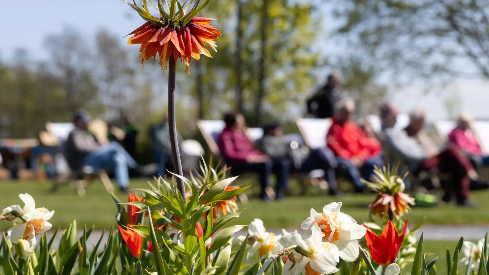 Zwischen Sonne und Schauern zeigt sich der Frühling wechselhaft. (Archivbild) (Foto: Michael Reichel/dpa)