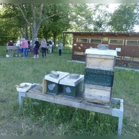 Der Lehrbienenstand des Imkervereins Bad Windsheim hat einen neuen Standort im Kurpark, der nun feierlich eingeweiht wurde. (Foto: Helmut Meixner)