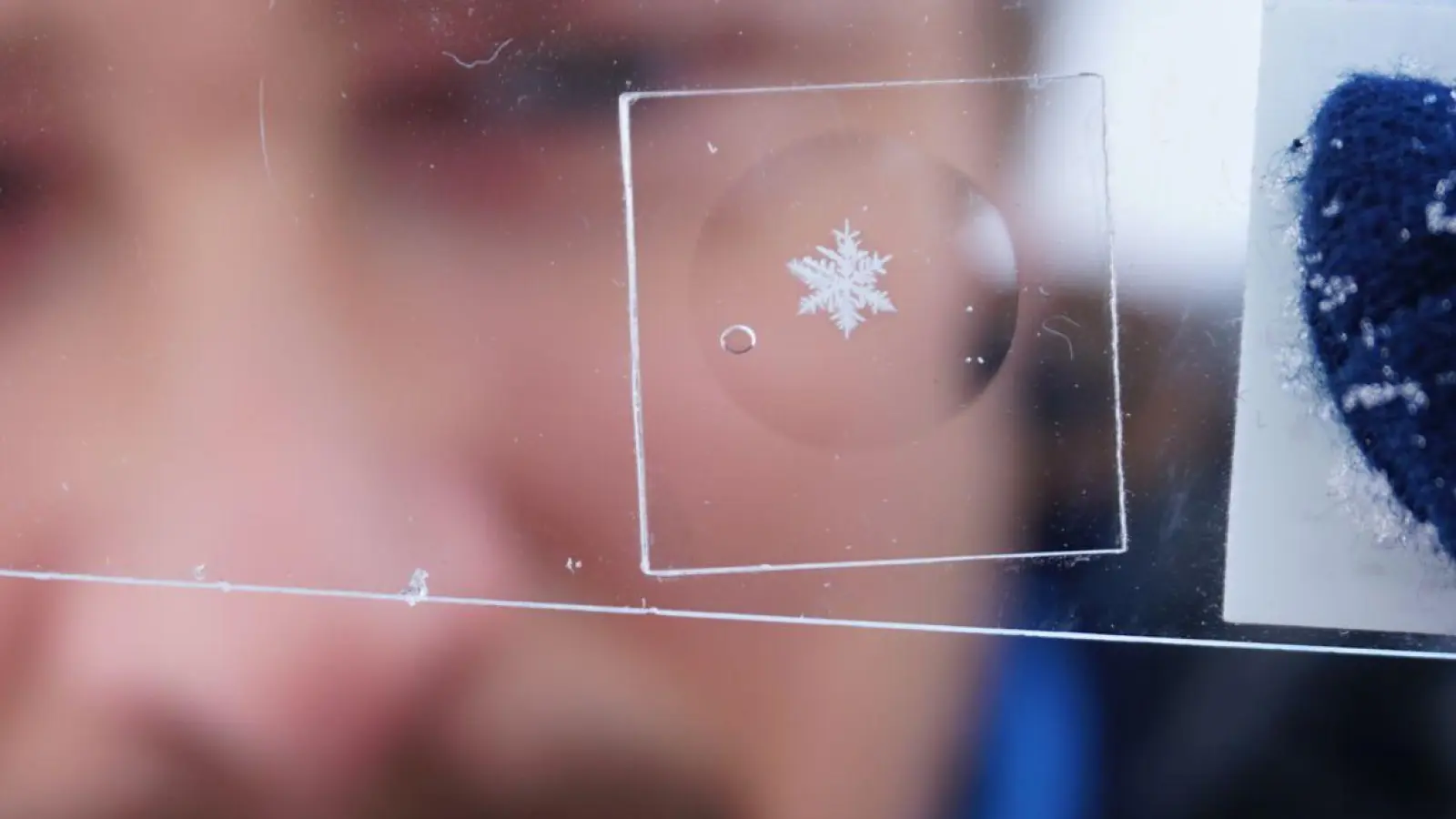 Thomas Hoffmann präsentiert eine konservierte Schneeflocke. (Foto: Hoffmann/Cryosity/dpa)