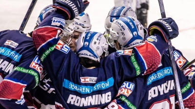 Die Eisbären setzten sich im vierten Finalspiel gegen Bremerhaven mit 4:1 durch. (Foto: Andreas Gora/dpa)