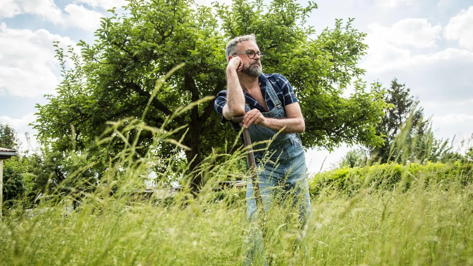 Wer eine Grünfläche im Garten haben will, hat viele Optionen: Rasen, Wiese - oder Kräuterrasen. (Foto: Christin Klose/dpa-tmn)