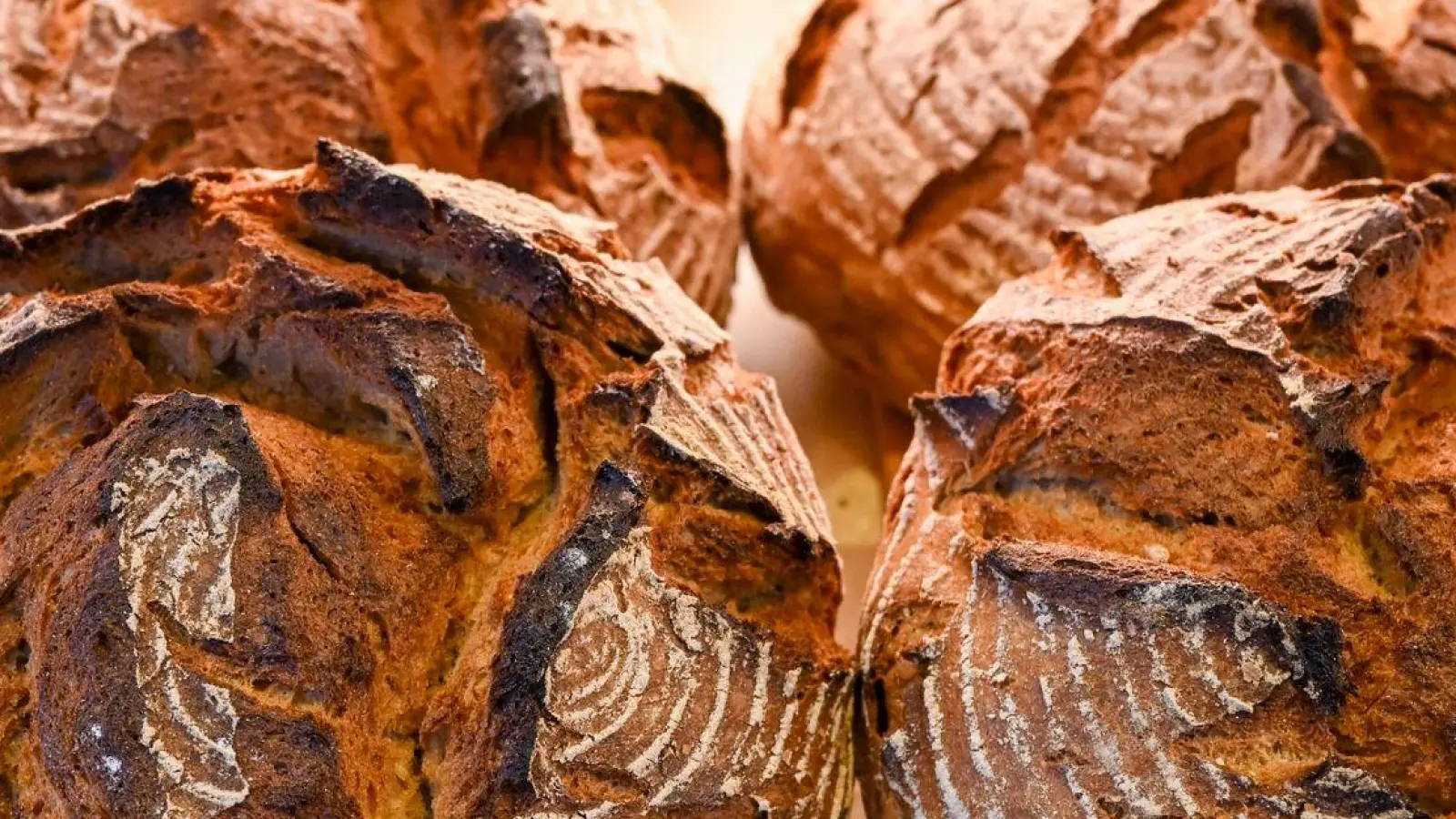 Ganze Brotlaibe bleiben länger frisch und sind länger haltbar als aufgeschnittenes Brot. (Foto: Jens Kalaene/dpa/dpa-tmn)