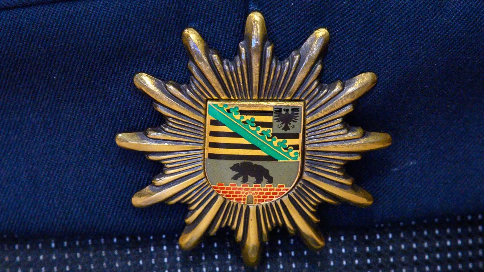 Das Wappen der Landespolizei von Sachsen-Anhalt (Symbolfoto). (Foto: Klaus-Dietmar Gabbert/dpa)