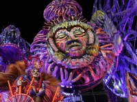 Eine Darstellerin der Sambaschule Grande Rio zieht auf einem Wagen während der Karnevalsfeierlichkeiten im Sambadrom in Rio de Janeiro. (Foto: Silvia Izquierdo/AP/dpa)