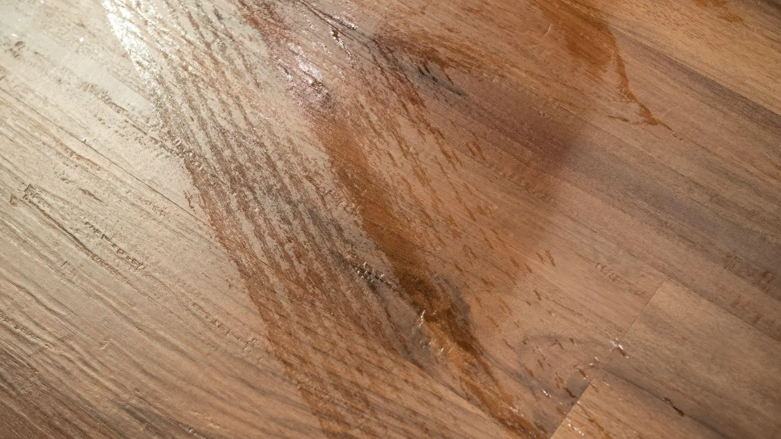 Sauber, aber selten ohne Schlieren: Nur drei von neun Akkuwischern überzeugten im Test. (Foto: Zacharie Scheurer/dpa-tmn)