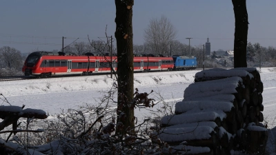 Diese S-Bahn musste evakuiert werden, nachdem sie in der Nacht auf Freitag mit einem umgestürzten Baum kollidiert ist. (Foto: Johannes Hirschlach)