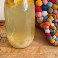 Gesüßtes Wasser, Kefirkristalle und Mangostreifen machen den Wasserkefir zu einem prickelnden Durstlöscher. (Foto: Ricarda Dieckmann/dpa-tmn)