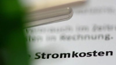 Die regionalen Unterschiede bei den Netzentgelten sind erheblich. (Symbolbild) (Foto: Jens Kalaene/dpa-Zentralbild/dpa)