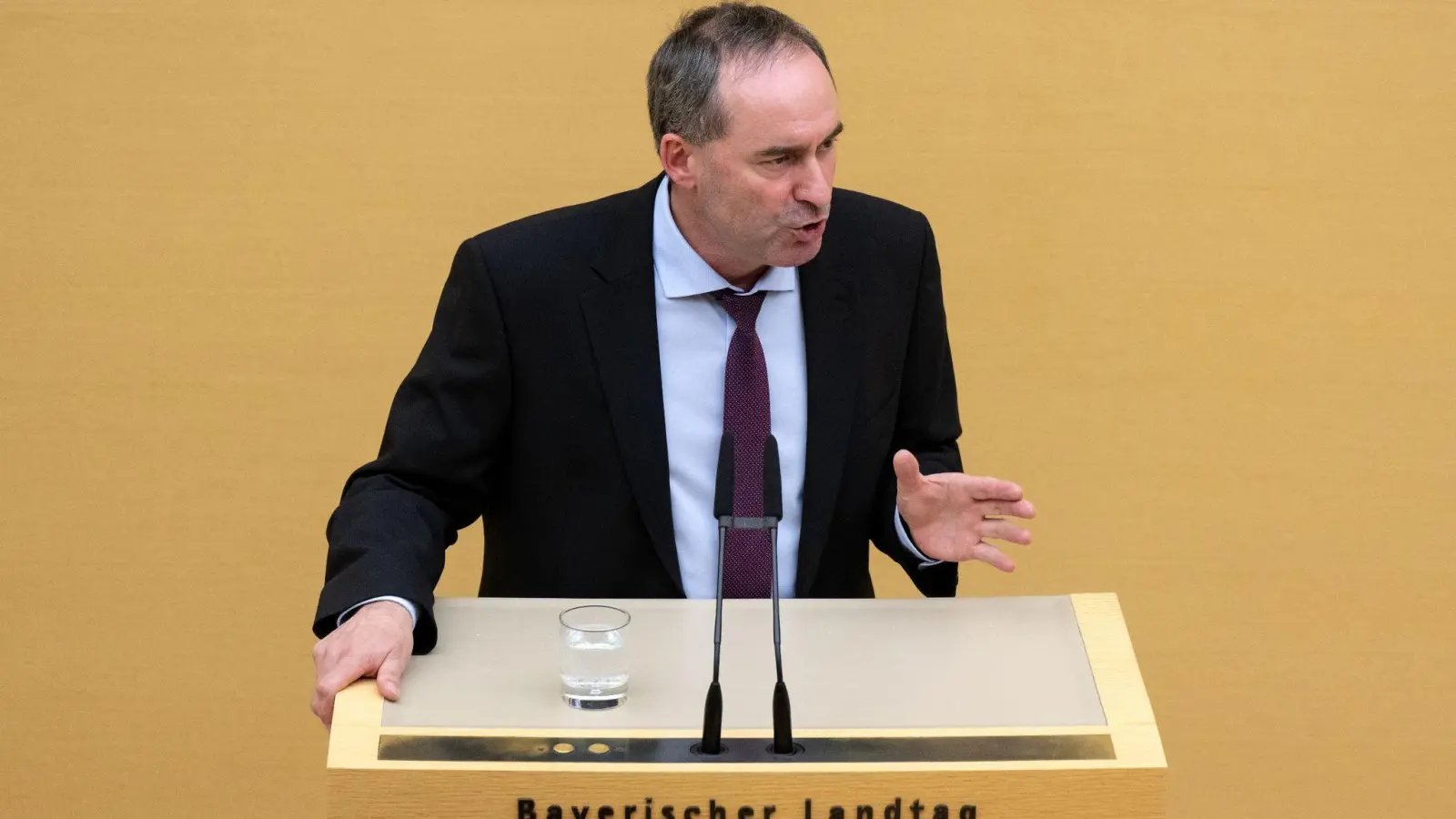 Hubert Aiwanger (Freie Wähler), Wirtschaftsminister von Bayern, spricht. (Foto: Sven Hoppe/dpa)