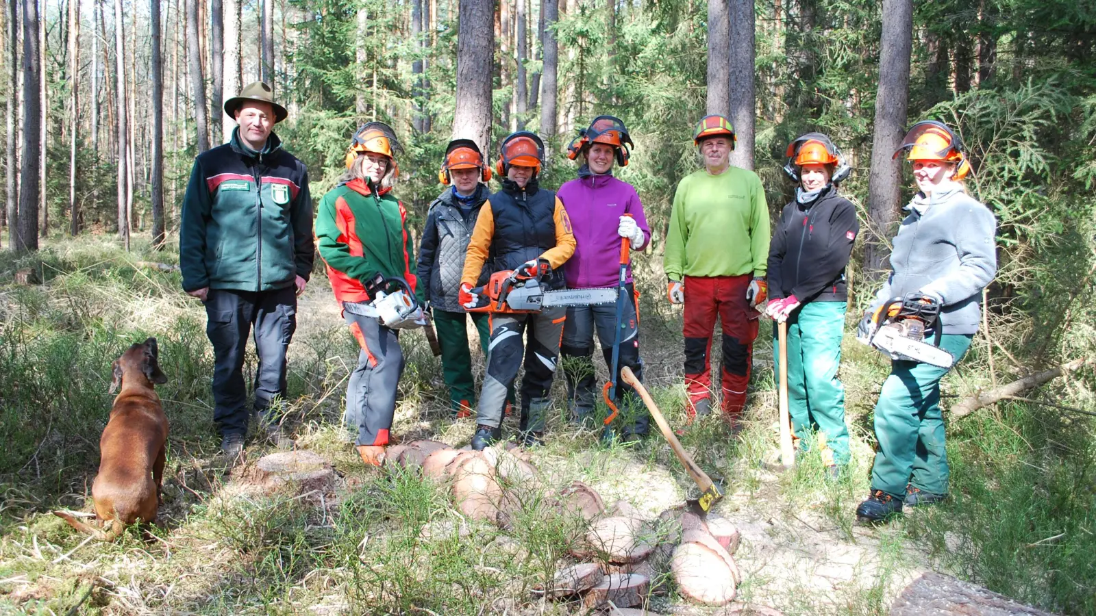 Regelmäßig werden im Neustadter Stadtwald Motorsägenkurse abgehalten, auch reine Frauenkurse. Dieser Kurs wird von Forstwirt Thomas Herzog abgehalten, zuständig für Stadtwald ist Revierförster Gernot Käßer (l.) (Foto: Astrid Pirner)