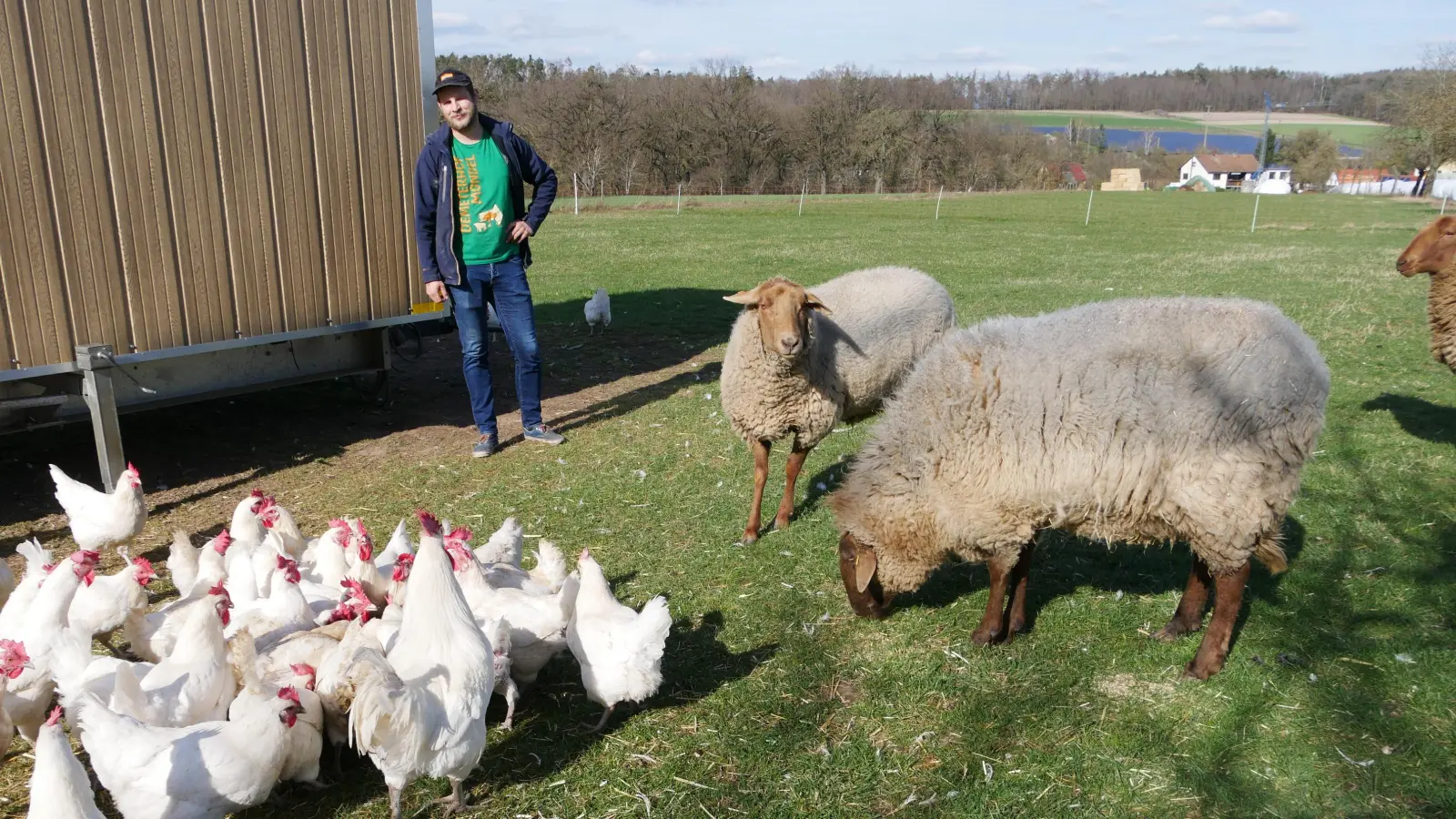 Die Schafe sind zwar „Coburger Füchse“, aber ihre Bestimmung ist es, echte Füchse vom Hühnermobil Simon Mondels fern zu halten. (Foto: Ulli Ganter)