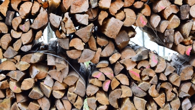 Ein Holztransport hat in Weiltingen für erheblichen Schaden an der Holzunterkonstruktion einer Durchfahrt angerichtet. (Symbolbild: Jim Albright)