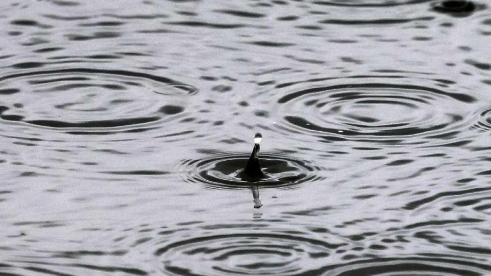 Ab Mittwoch soll es stark regnen in Bayern. (Symbolbild) (Foto: Karl-Josef Hildenbrand/dpa)