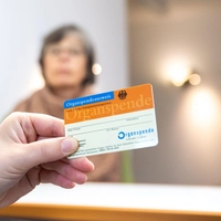 Den Organspendeausweis bekommt man kostenfrei in Arztpraxen und Apotheken. (Foto: Benjamin Nolte/dpa-tmn)
