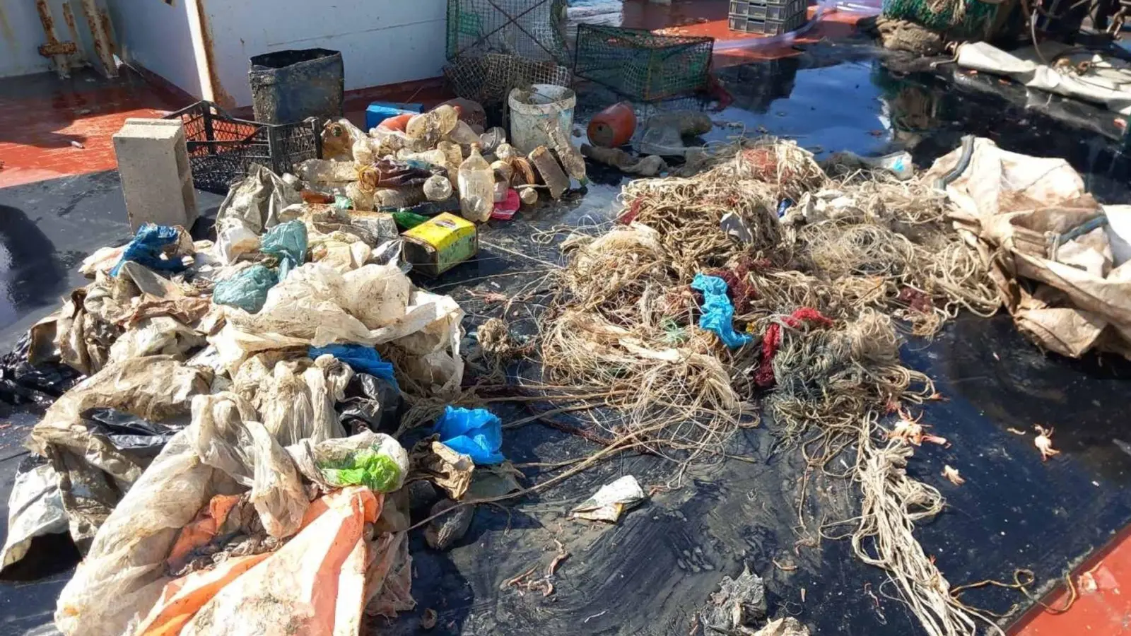 Müll, der aus dem Meer gefischt wurde. (Foto: iSea/dpa)