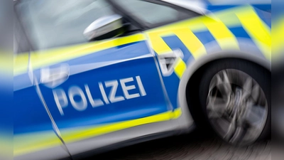 Ein Mann soll in der Regensburger Fußgängerzone einen Streifenwagen beschädigt haben. (Symbolbild) (Foto: Hendrik Schmidt/dpa)