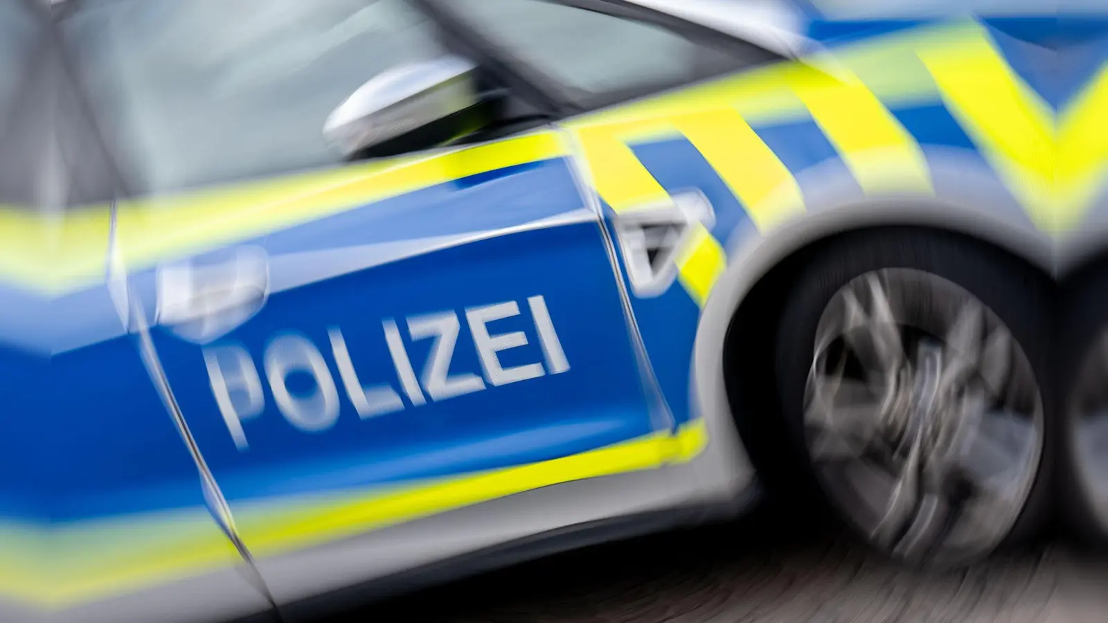 Ein Mann soll in der Regensburger Fußgängerzone einen Streifenwagen beschädigt haben. (Symbolbild) (Foto: Hendrik Schmidt/dpa)