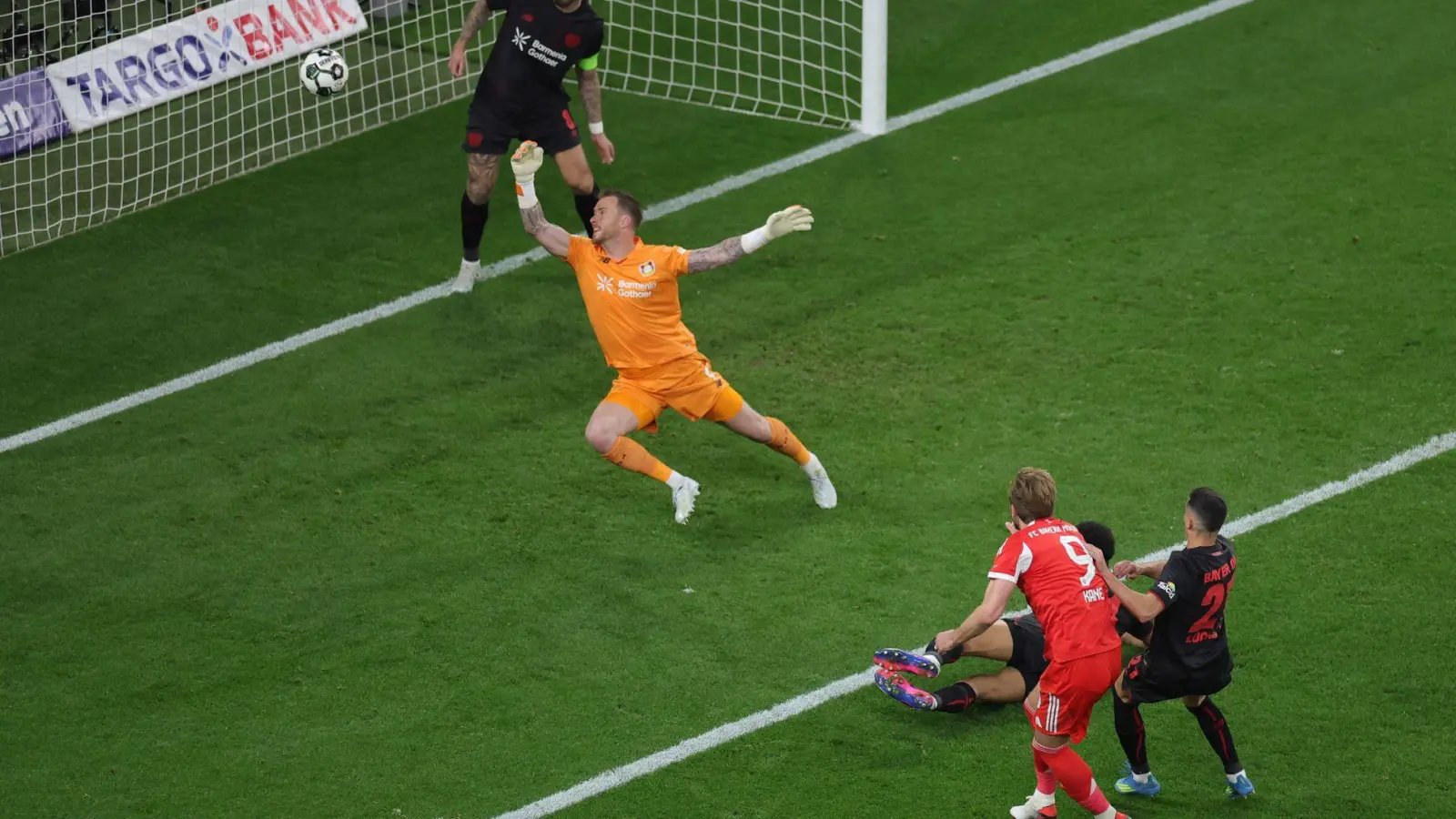 Harry Kane ließ die Bayern früh jubeln. (Foto: Rolf Vennenbernd/dpa)