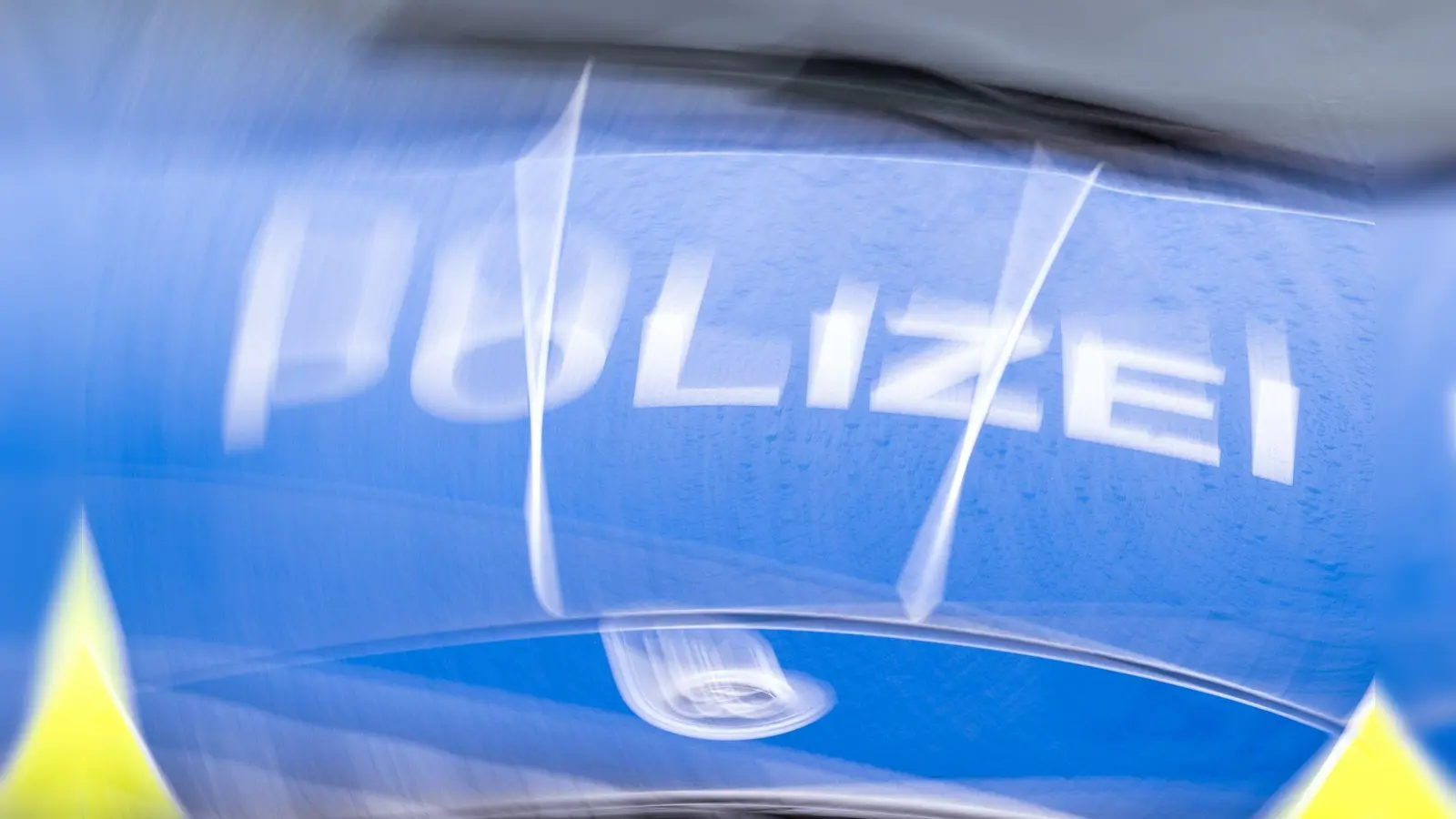 Ein 18-Jähriger hat wegen einer Spinne die Kontrolle über sein Fahrzeug verloren. (Symbolbild) (Foto: Soeren Stache/dpa)