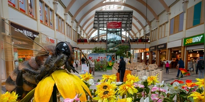 Das Brücken-Center in Ansbach, hier eine Sonderausstellung zu Bienen, besticht im Shoppingcenter Performance Report durch eine gute Platzierung. (Archivbild: René Chlopotowski)